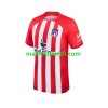 Maillot de Foot Atlético Madrid Domicile 2023/24 Maillot de Foot Atlético Madrid Domicile 2023/24